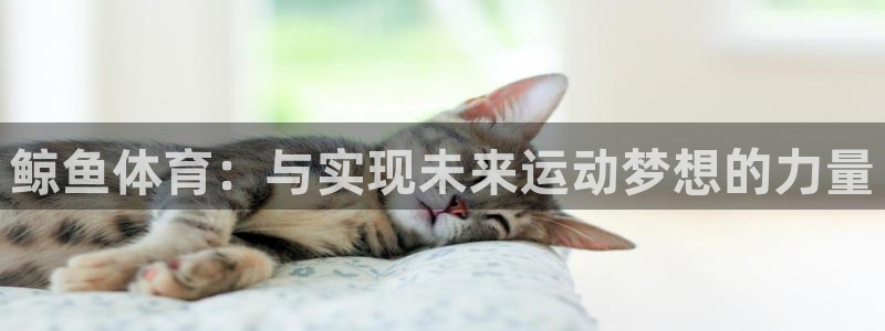 意昂5凯捷注册