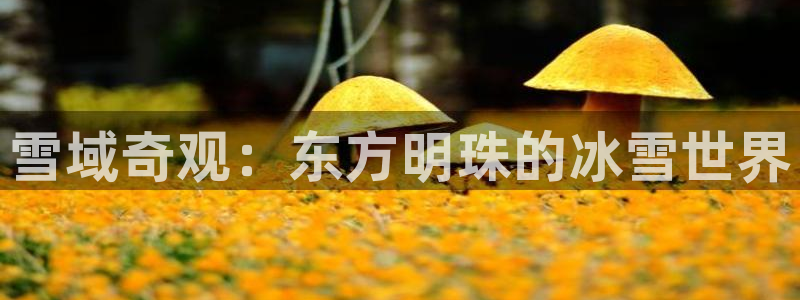 意昂52平台登录