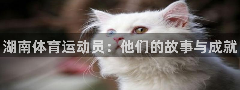 意昂5体育热门赛事有哪些