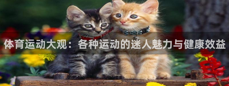 意昂5体育平台总代理