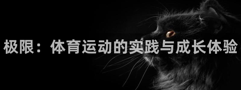 意昂5能源