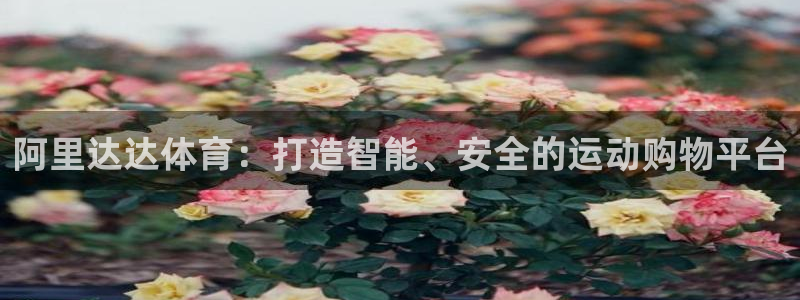 意昂5代理注册官网入口
