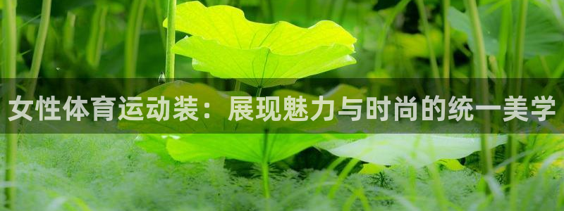 意昂5体育网页版入口