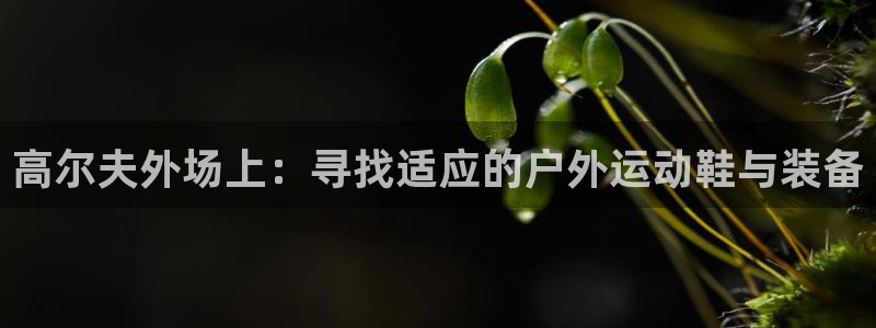 意昂5体育注册代理