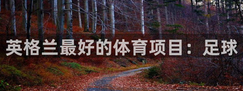 意昂5体育平台注册