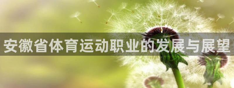 意昂5体育凯捷平台招商