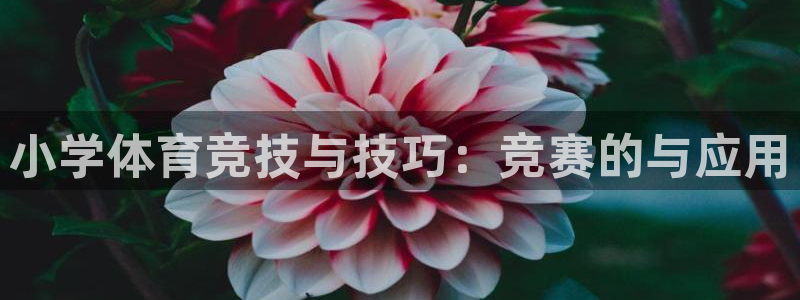 意昂54官网